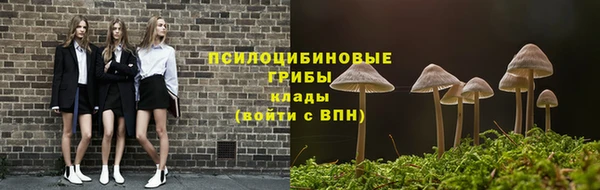 твердый Абинск