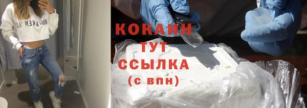 твердый Рославль