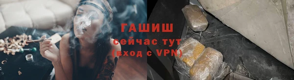 крисы Абаза