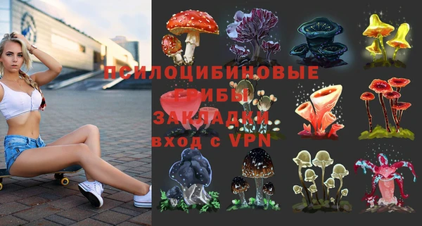 стафф Кострома