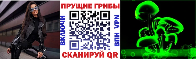 Псилоцибиновые грибы прущие грибы  Калач 